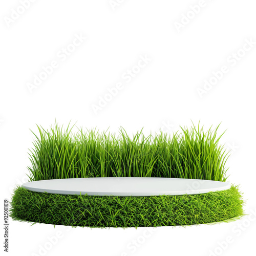Grass Podium PNG