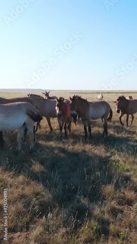 Wallpaper Mural Fantastic view of rural area during summer Torontodigital.ca