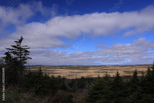 Landscape on Avalon Peninsula in Newfoundland, Canada photo