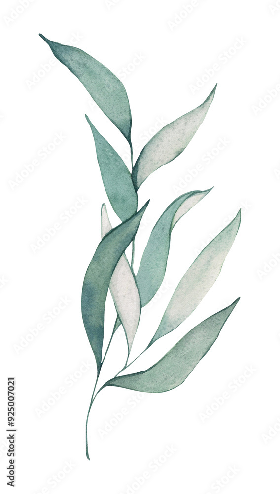 Watercolor branch with green leaves. Hand drawn illustration of eucalyptus branch. Single plant element for design and decoration.