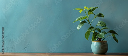 Houseplant displayed in a flowerpot on a table beside a wall, with empty space in the shot for future use as a copy space image. photo