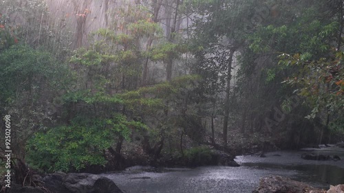 A dense forest scene with rain pouring down, creating a misty atmosphere. The stream flowing through the forest adds to the serene and calming vibe of the natural environment.