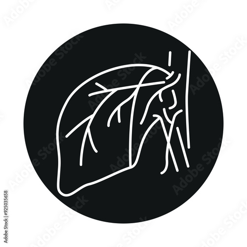 Hepatectomy line black icon. photo