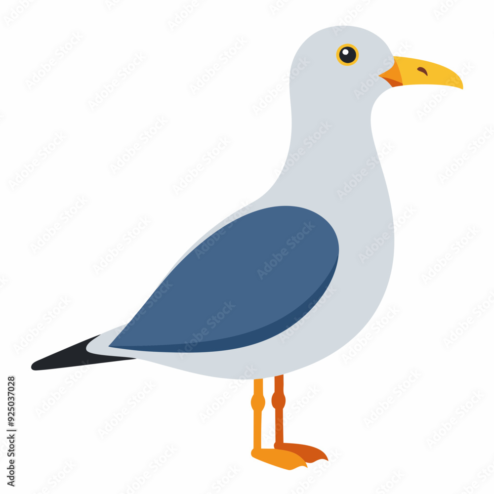 Obraz premium seagull-on-white-background