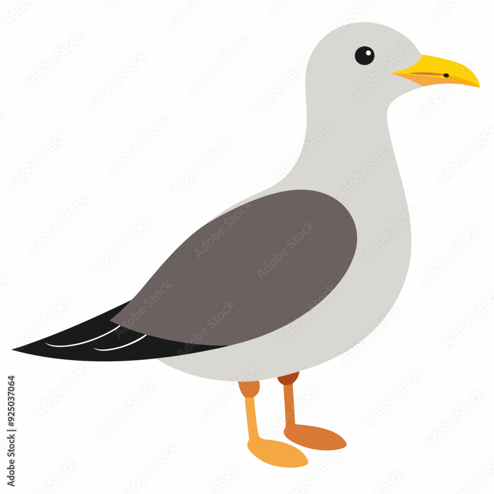 Obraz premium seagull-on-white-background