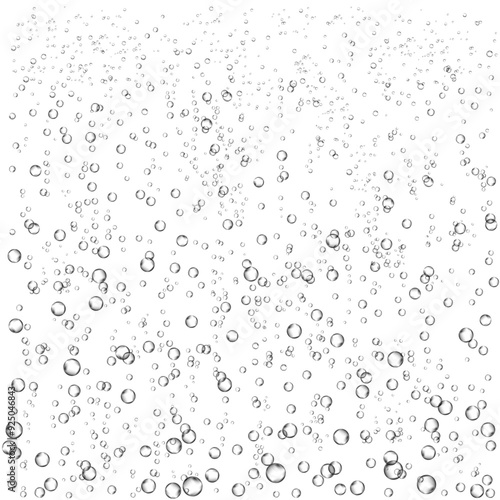 Oxygen air bubbles  flow  in water on white  background.