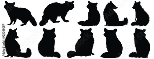 Raccoon silhouette set vector design big pack of animal illustration and icon