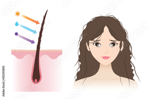 Infographic of open cuticle damaged hair vector illustration isolated on white background. The woman with dry, frizzy hair caused by ultraviolet, heat, moisture and toxic product. Hair care concept.