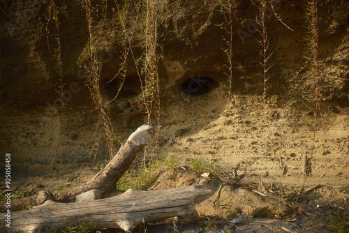 Cliffside surface eroded by ocean waves and dry wooden log on a tropical beach