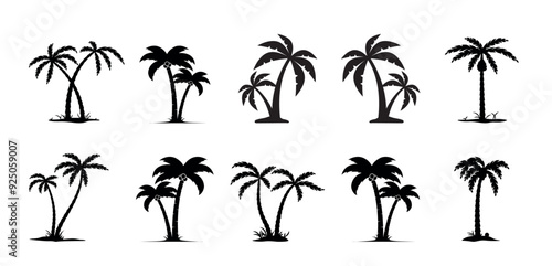 Set of tropical palm and tree silhouettes. EPS . Set tropical palm trees with leaves, mature and young plants, black silhouettes isolated on white background. Vector illustration.