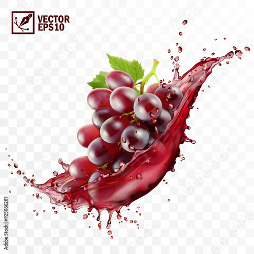 Realistic transparent isolated vector splash of wine or grape juice with red grapes branch