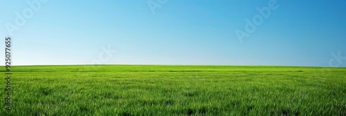 A mesmerizing vast green field stretches under a clear blue sky, showcasing the beauty of nature and the calm expanse of open land. photo