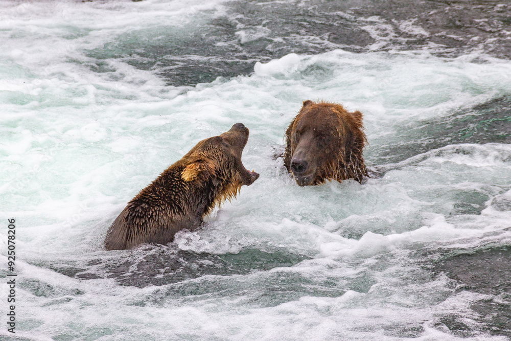 Katmai National Park - Bears and Salmon at Brooks Falls Katmai National Park - Bears and Salmon at Brooks Falls