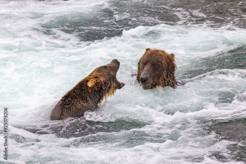 Katmai National Park - Bears and Salmon at Brooks Falls