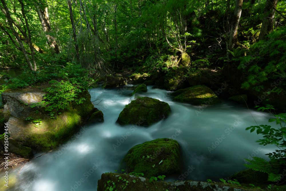 Obraz premium 涼しげな奥入瀬渓流_009