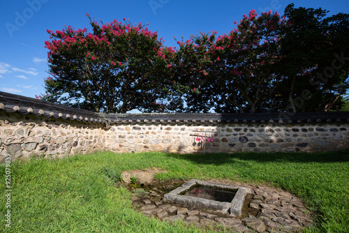 Oehwa-ri, Gochang-gun, Jeollabuk-do, South Korea - July 30, 2022: Summer view of a square well with grass and wall of tile roof against red flowers of crape myrtle(Lagerstroemia indica) photo