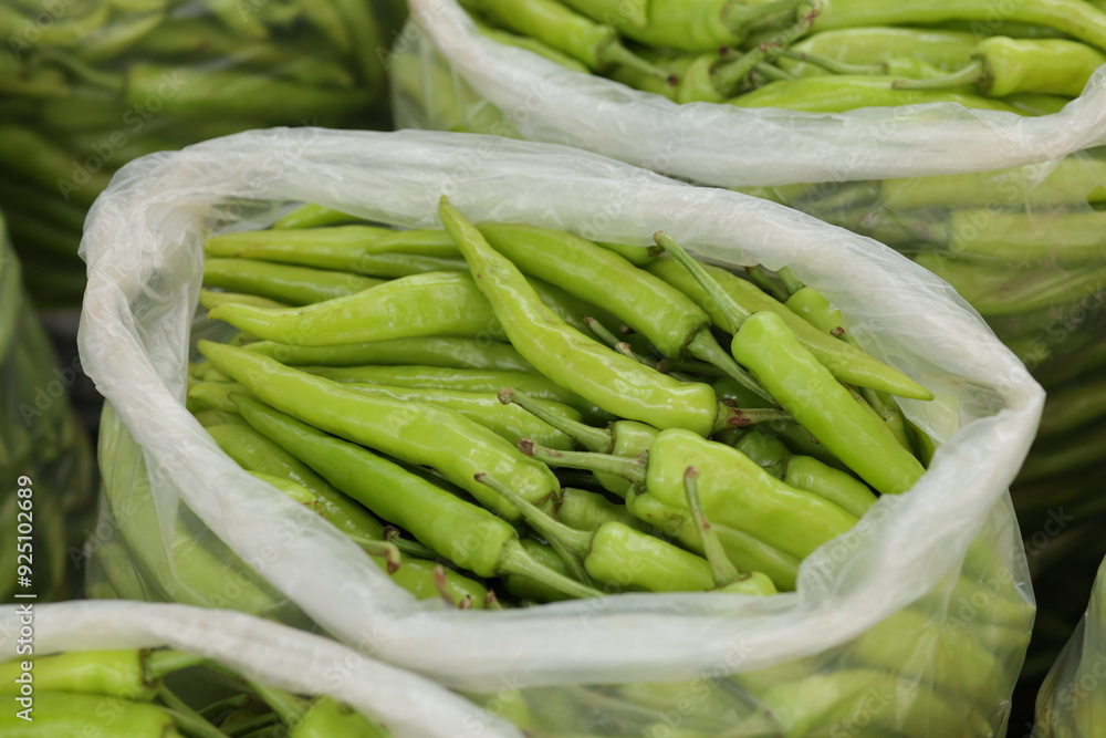 Green peppers packed in plastic bags. Freshly picked green peppers from the garden. Green peppers packed in plastic bags. Freshly picked green peppers from the garden.
