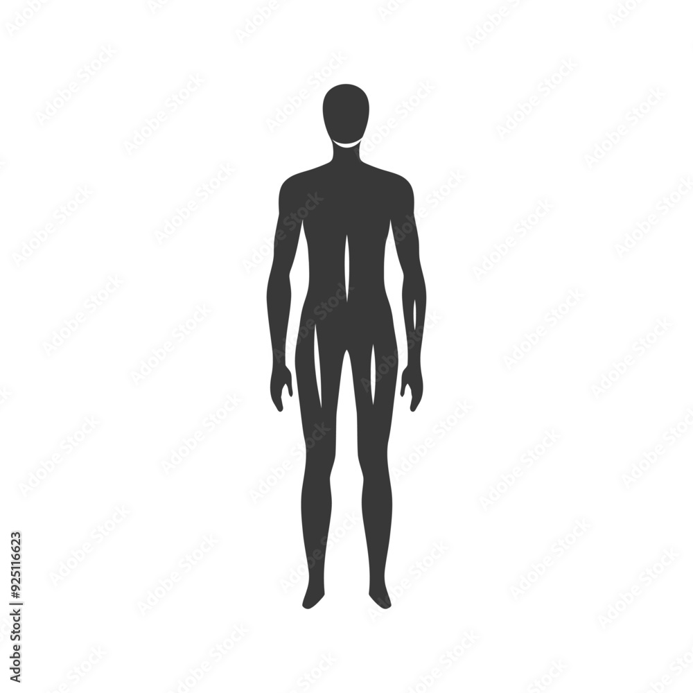 Anatomical Male Silhouette: Minimalist Gray Icon Anatomical Male Silhouette: Minimalist Gray Icon