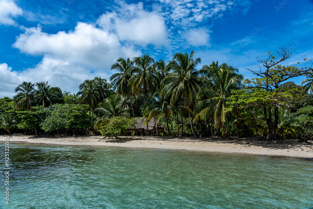 Obraz premium Tropical Beach Paradise with Palm Trees and Rocky Coastline in the caribbean Islands, Featuring Stunning Ocean Views, Sandy Shores, and Lush Island Landscapes, Perfect for Travel and Vacation Getaways