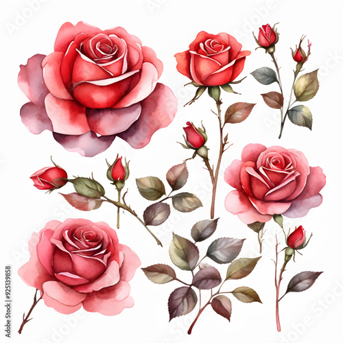 Watercolor Pink Roise Clipart, Pink Flowers Clipart, Printable Graphics