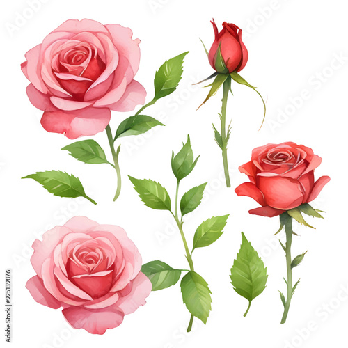 Watercolor Pink Roise Clipart, Pink Flowers Clipart, Printable Graphics