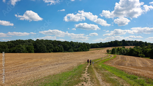 Natural Lands ChesLen Preserve in summer, near West Chester in the Philadelphia suburb, Pennsylvania photo