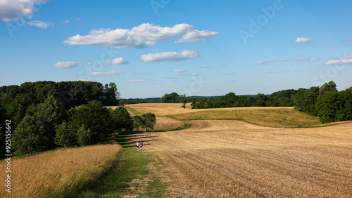 Natural Lands ChesLen Preserve in summer, near West Chester in the Philadelphia suburb, Pennsylvania photo