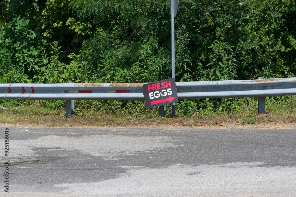 Fresh Eggs for sale sign on roadside Fresh Eggs for sale sign on roadside