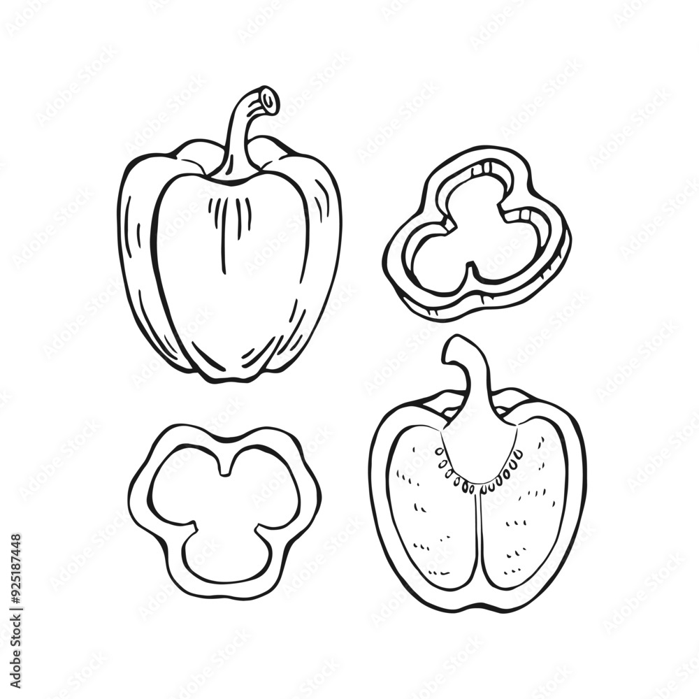 Set of pepper. Hand drawn vector illustration in outline style. Set of pepper. Hand drawn vector illustration in outline style.