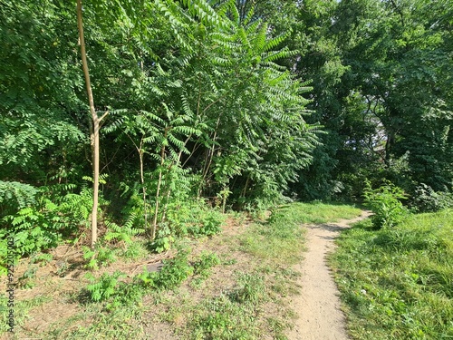 nature path in Berlin Schöneweide