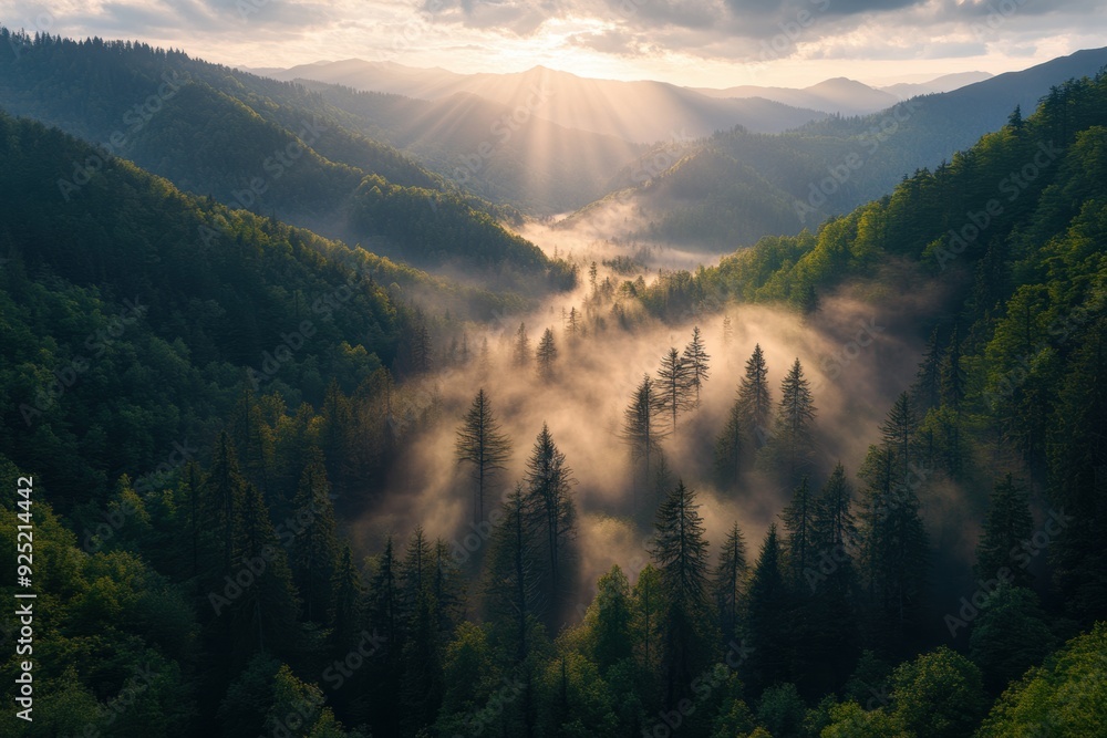 Mystical sunrise foggy mountain Mystical sunrise foggy mountain