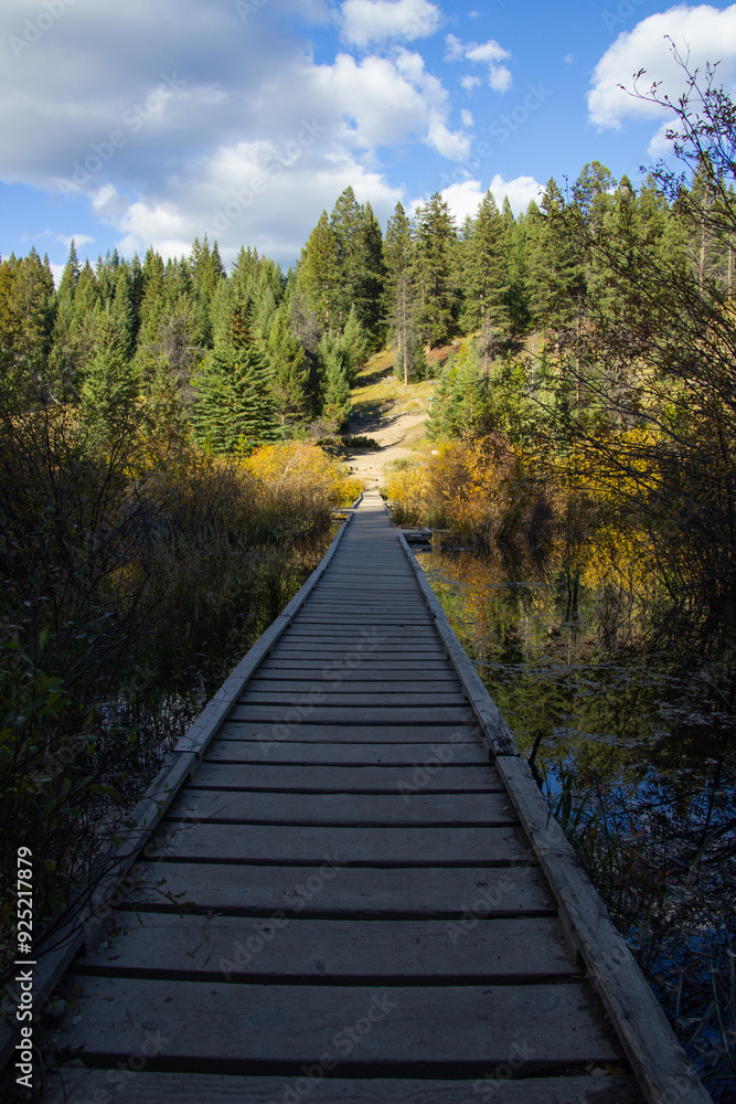 Wooden bridge to cross the five lakes of Canada. Wooden bridge to cross the five lakes of Canada.