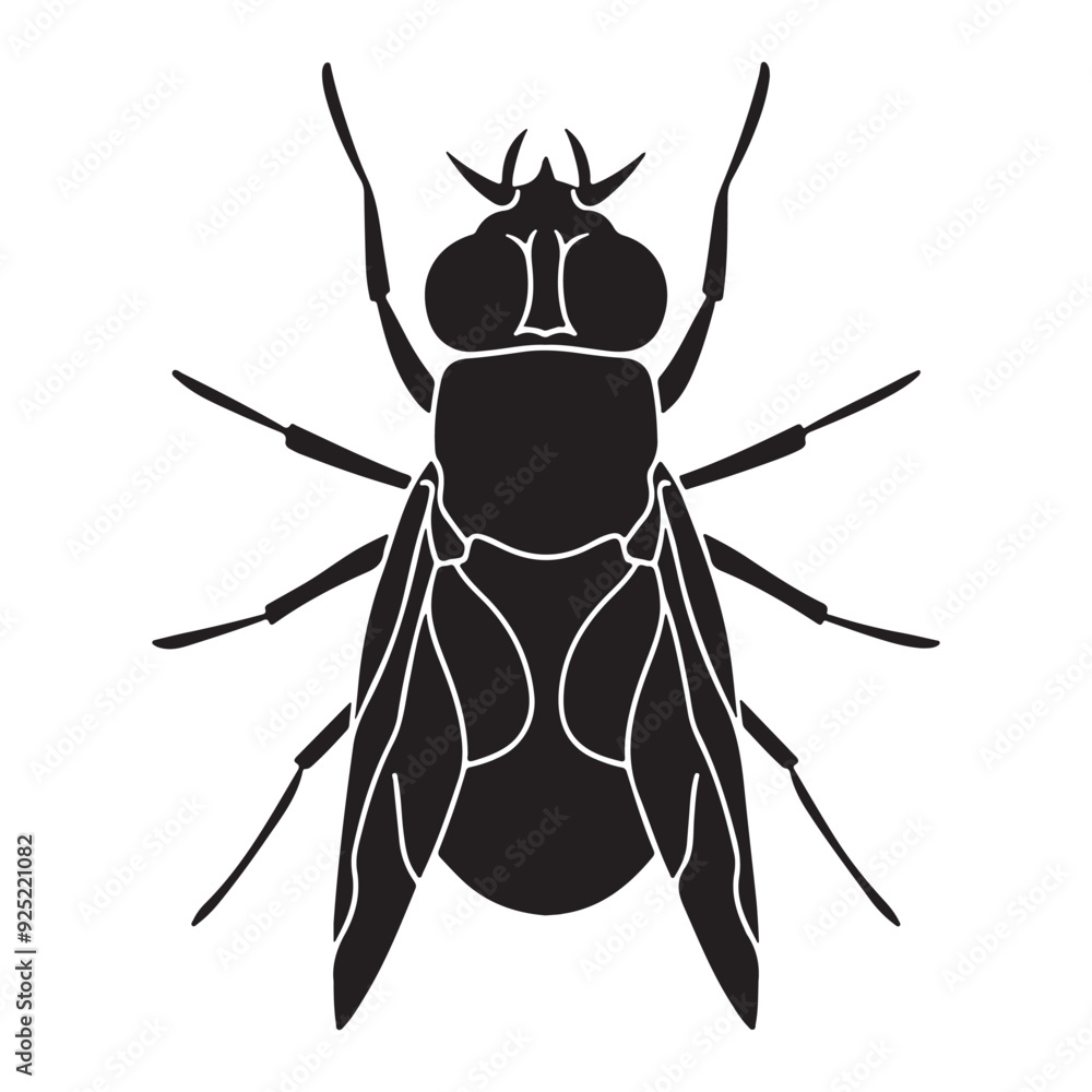 Professional Fly Vector Art Unique Illustration Professional Fly Vector Art Unique Illustration