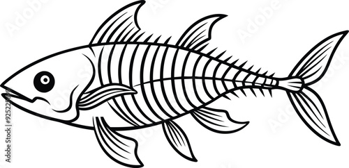 Fish Skeleton line art illustration black and white