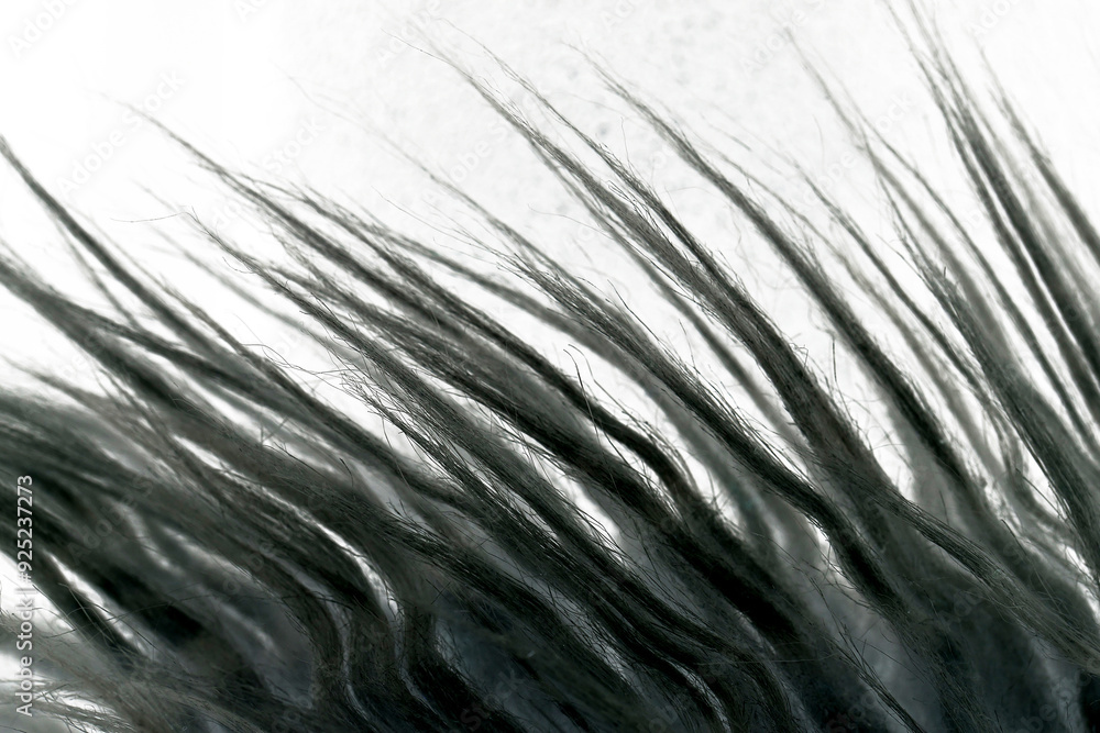 Black sheepskin hair macro closeup abstract background Black sheepskin hair macro closeup abstract background