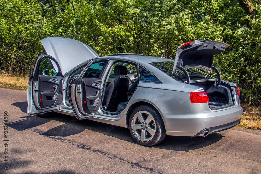 A gray car with all doors open stands on the road against a background of green trees
A gray car with all doors open stands on the road against a background of green trees