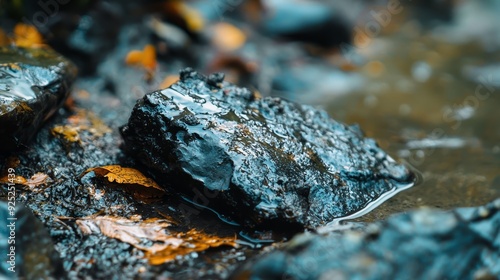  A few rocks atop a dirt- and leaf-covered rock near a body of water