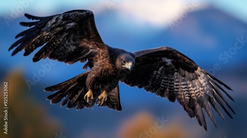  A tight shot of a raptor in mid-flight against a distant mountain backdrop photo