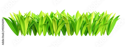 Obraz na plátně Green grass border 3d render illustration