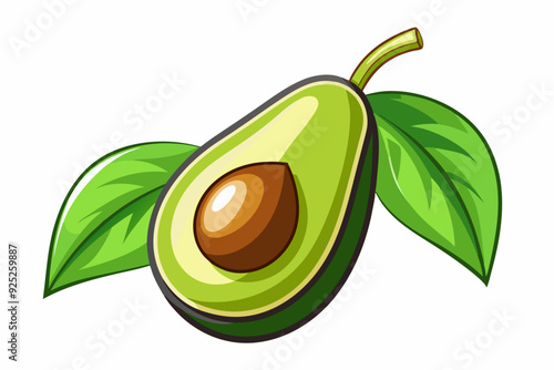 Avocado vector isolated on white background