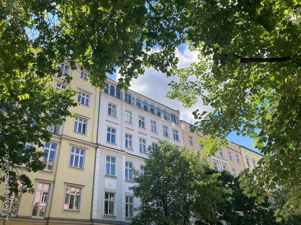 Straßenbäume im Altbau-Kiez in Berlin, Deutschland