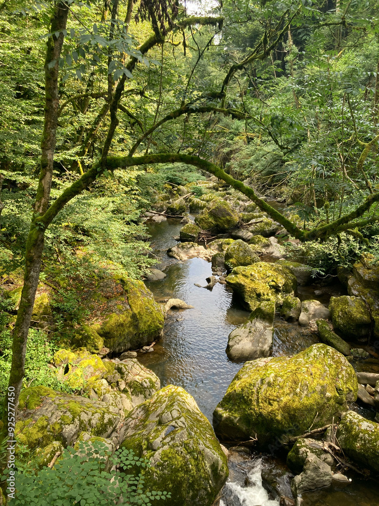 Das wilde Albtal im Schwarzwald, Deutschland