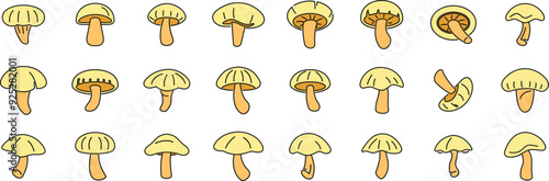 Collection of various mushrooms, showcasing their unique shapes and sizes photo