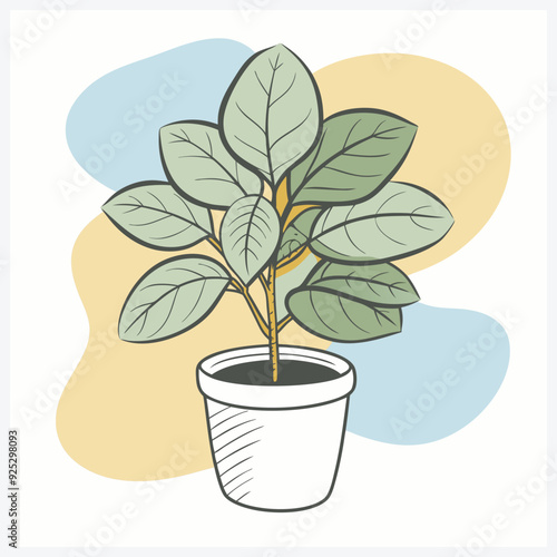 Majestic Rubber Tree Vector Illustration, A Lush and Detailed Botanical Artwork