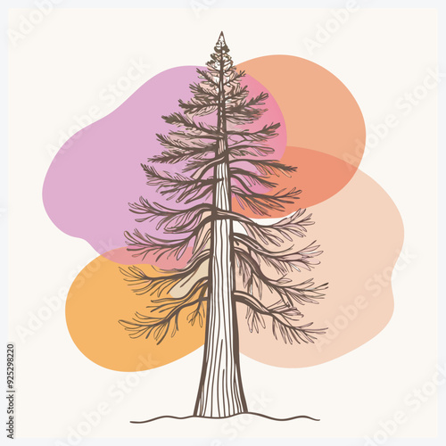 Majestic Redwood Tree Vector Illustration