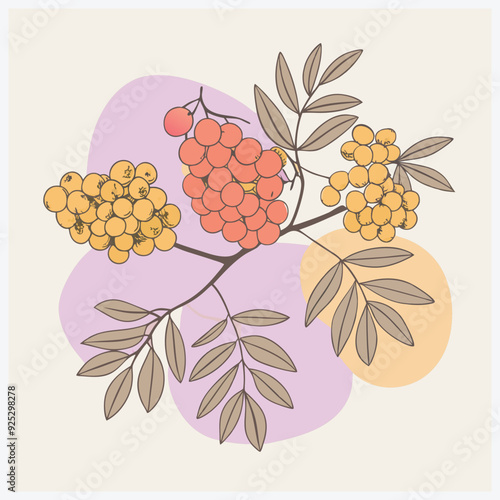 Majestic Rowan Tree Vector Illustration