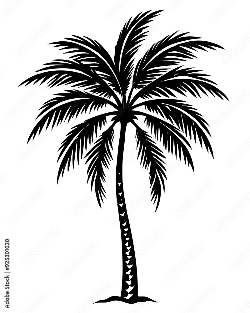 Obraz premium plam tree eps vector bundle 