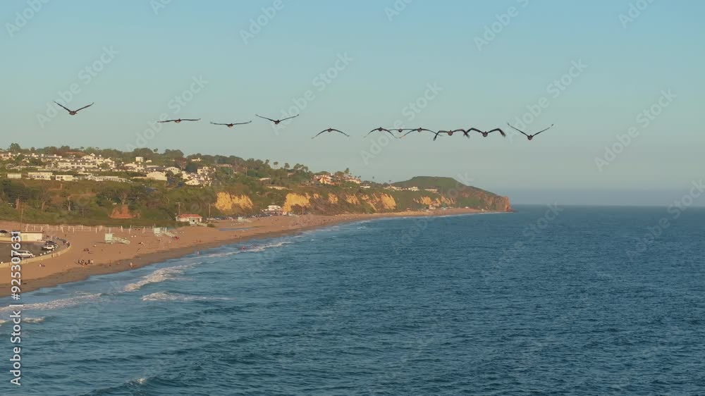 A group of pelicans soars over the Malibu coastline at sunset in slow motion, providing a stunning aerial view. Captured in 4K, this serene moment showcases the beauty of California's coast. A group of pelicans soars over the Malibu coastline at sunset in slow motion, providing a stunning aerial view. Captured in 4K, this serene moment showcases the beauty of California's coast.