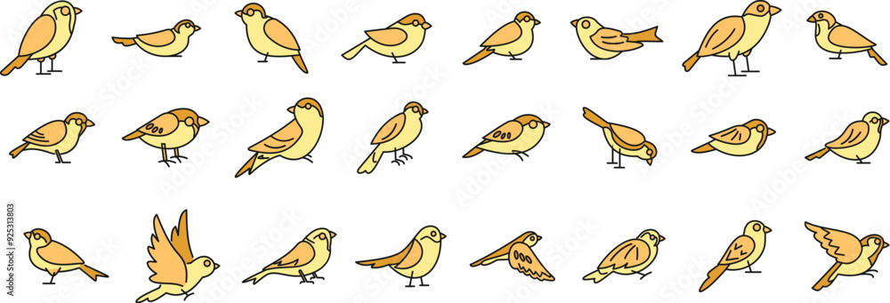 Obraz premium Set of illustrations of little birds with yellow feathers in different poses