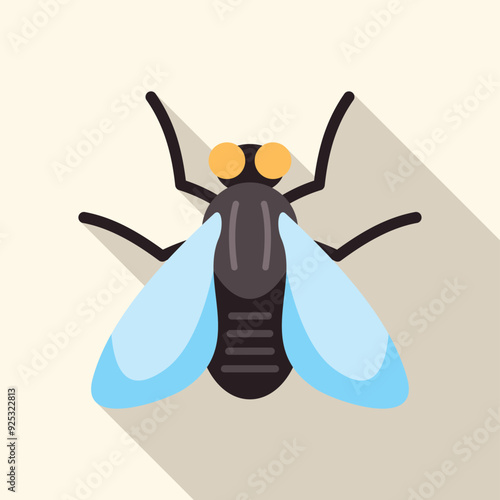 House fly insect spreading germs with its wings wide open, top view of common house fly